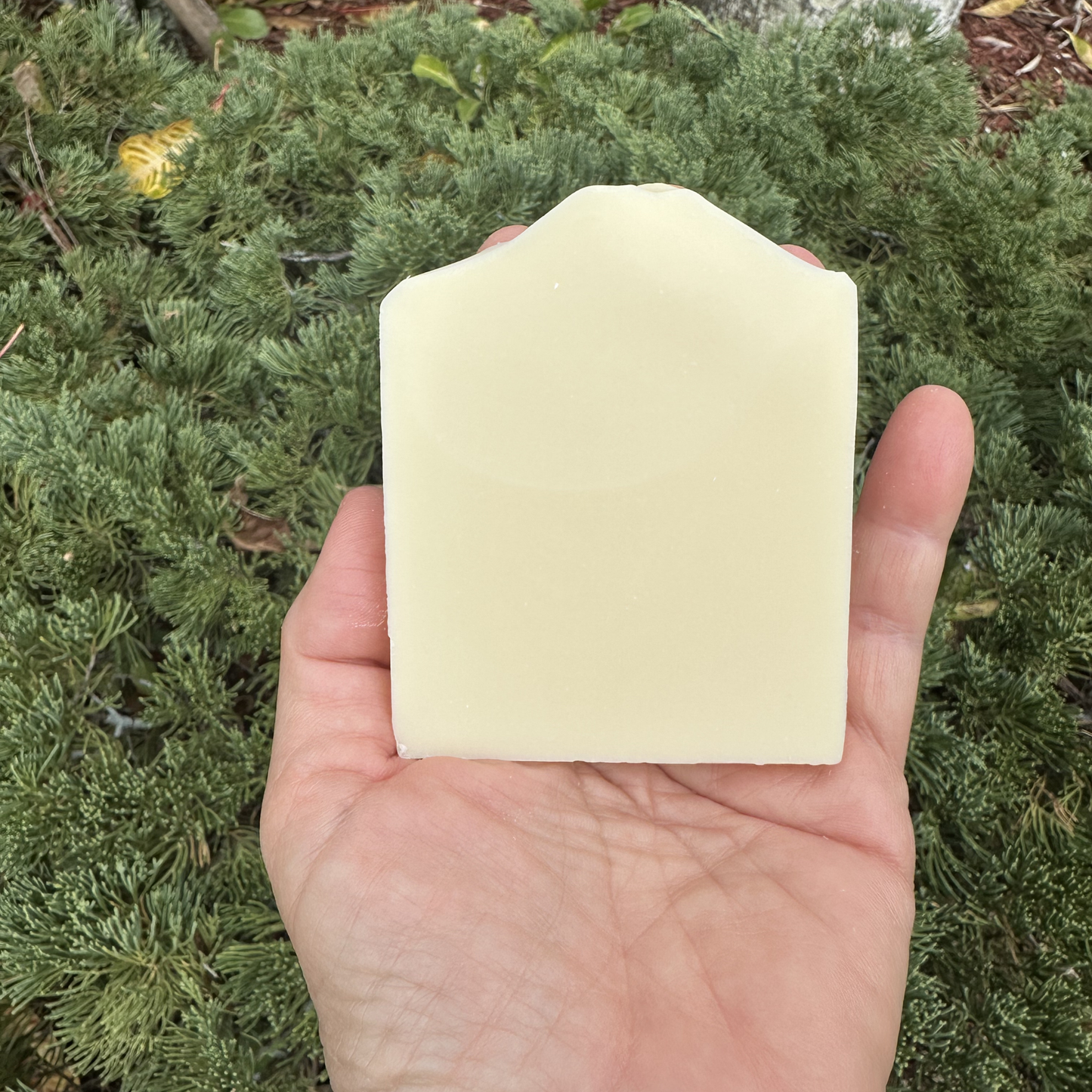 Espresso Martini-Themed Bridal Shower Soap Favors – Vegan Soap | Eco-Friendly Keepsakes