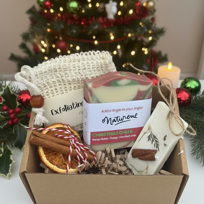 Holiday Christmas Hostess Gift Box